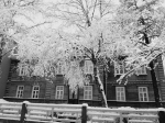 Holzhaus im Schnee, Tartu